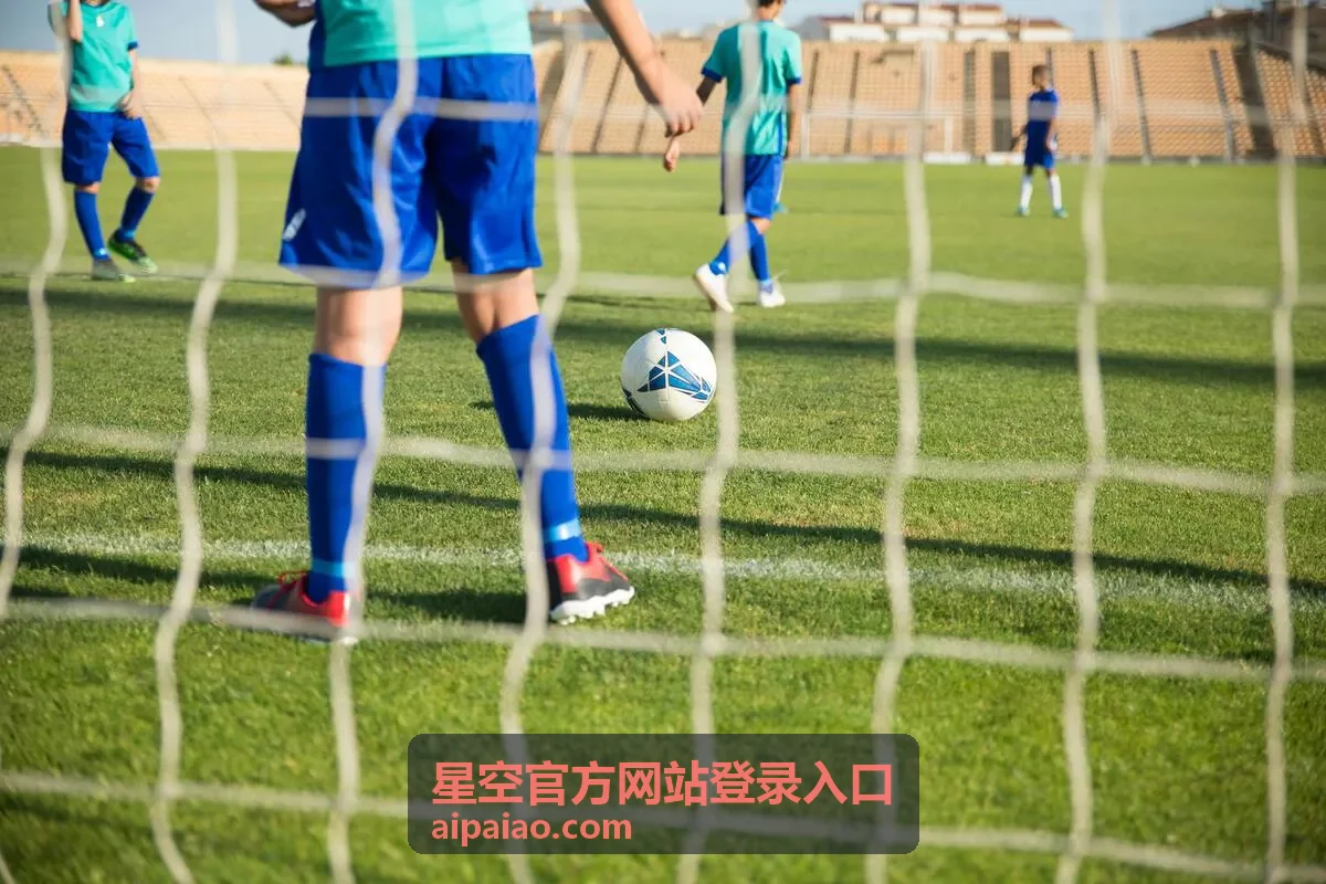 星空官方网站登录入口登录成功后自动退出的状态示意图