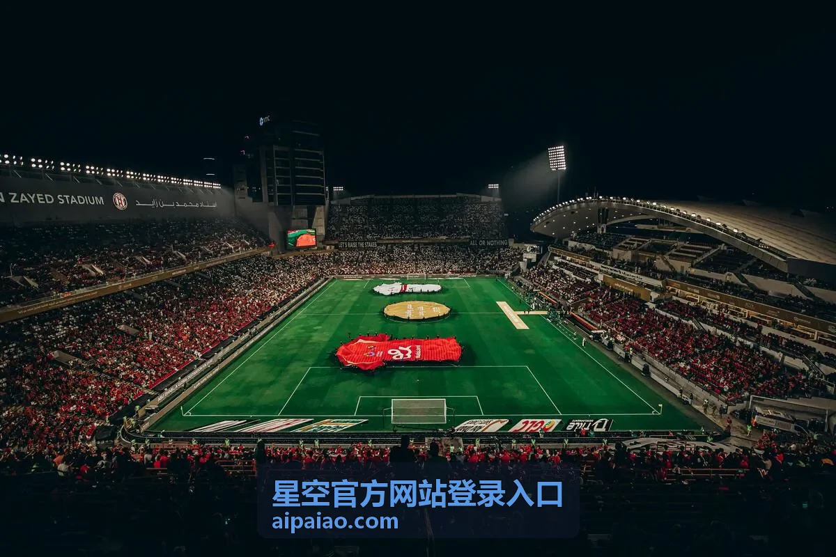 星空官方网站登录入口更换设备后要求重新验证的界面示意图