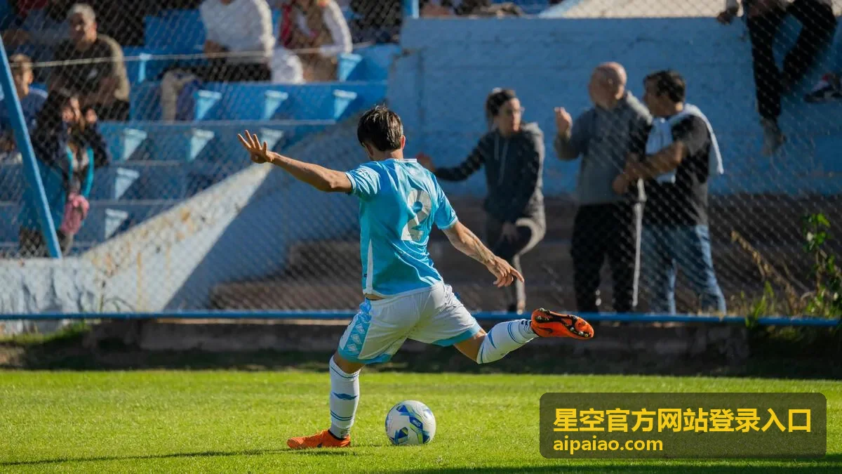 星空官方网站登录入口常见登录提示的处理流程示意